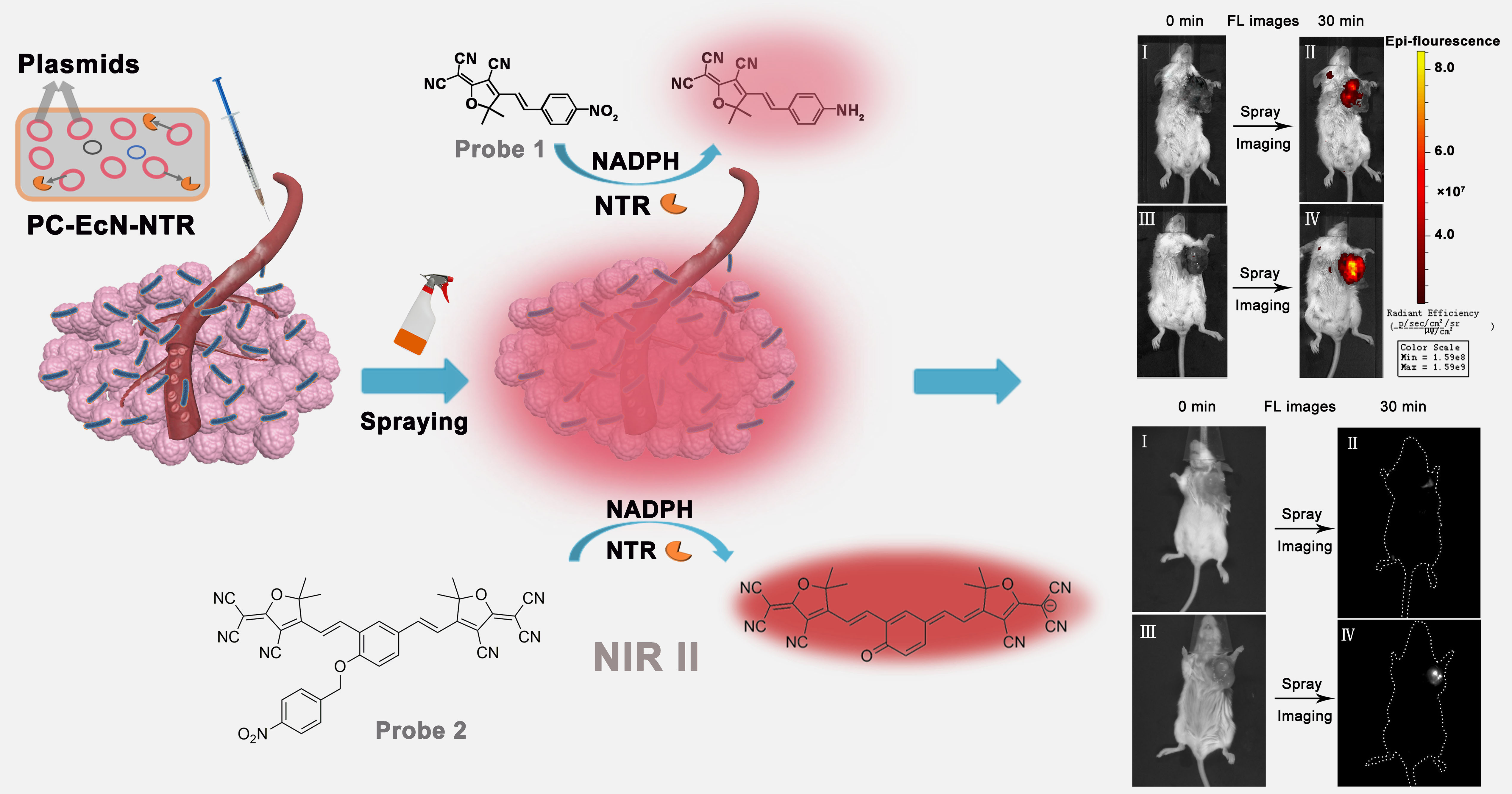 TOC_Web.jpg TOC_Web.jpg